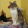 Отзыв от Юлия Руднева